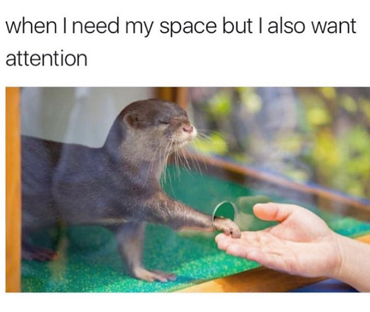 you need your space but also want attention - when I need my space but I also want attention