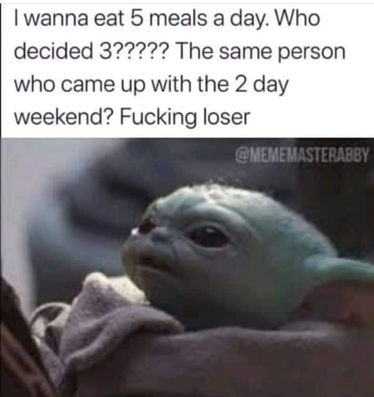 baby yoda wifi meme - I wanna eat 5 meals a day. Who decided 3????? The same person who came up with the 2 day weekend? Fucking loser