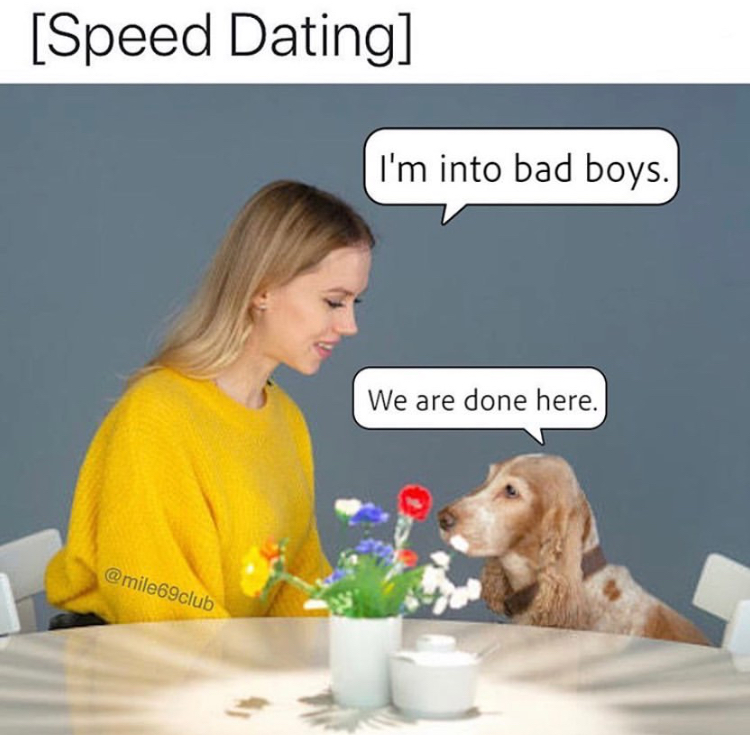 human behavior - Speed Dating I'm into bad boys. We are done here.