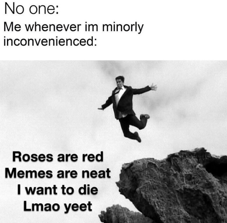 man jumping off a cliff - No one Me whenever im minorly inconvenienced Roses are red Memes are neat I want to die Lmao yeet