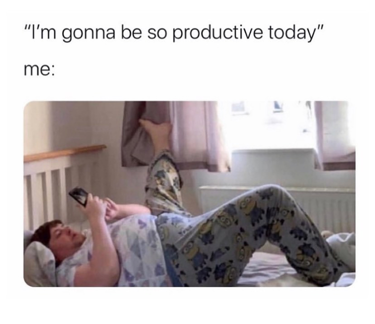 going to be so productive meme - "I'm gonna be so productive today" me