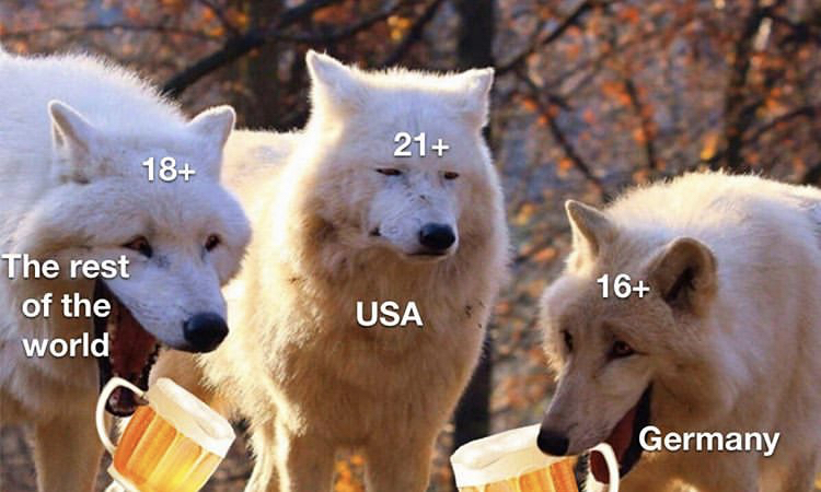 3 wolves meme - 21 18 16 The rest of the world Usa Germany
