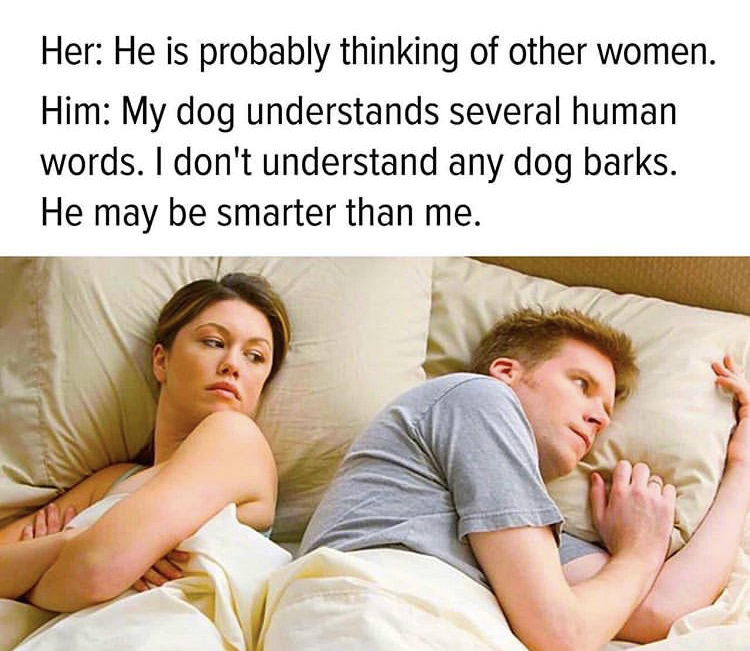 wonder if he's cheating on me meme - Her He is probably thinking of other women. Him My dog understands several human words. I don't understand any dog barks. He may be smarter than me.