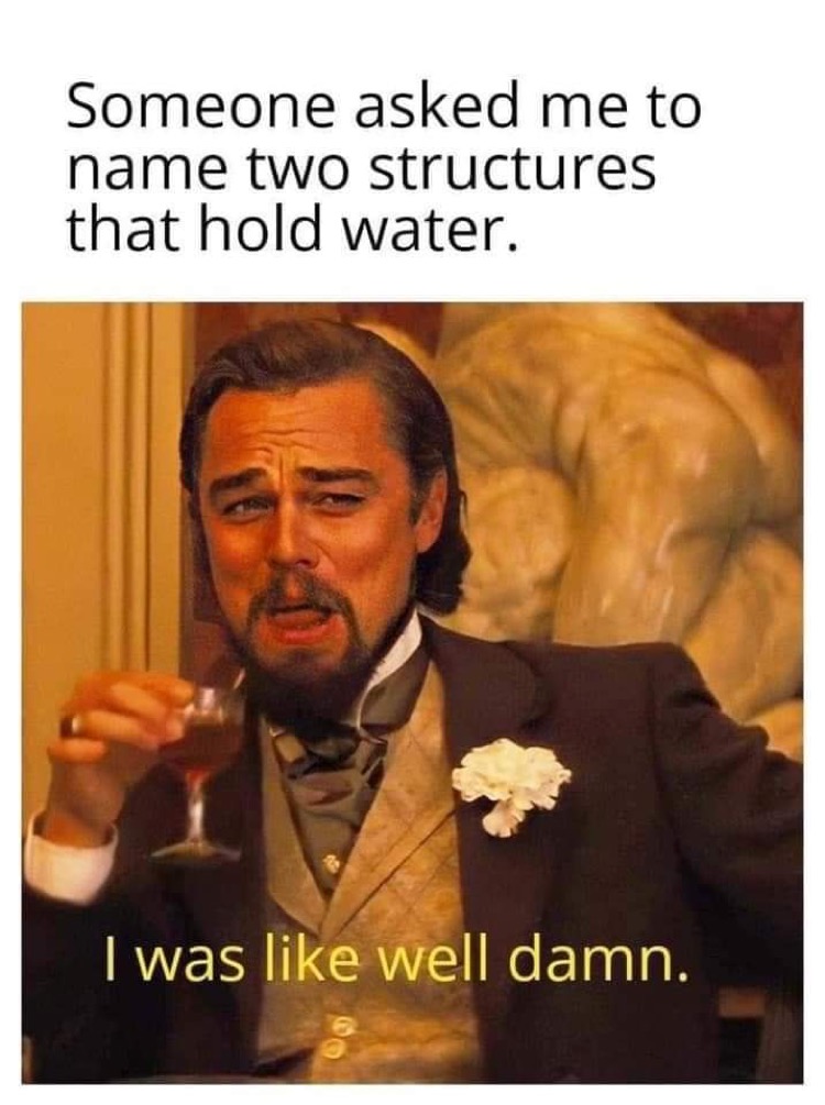 leonardo dicaprio meme django unchained - Someone asked me to name two structures that hold water. I was well damn.