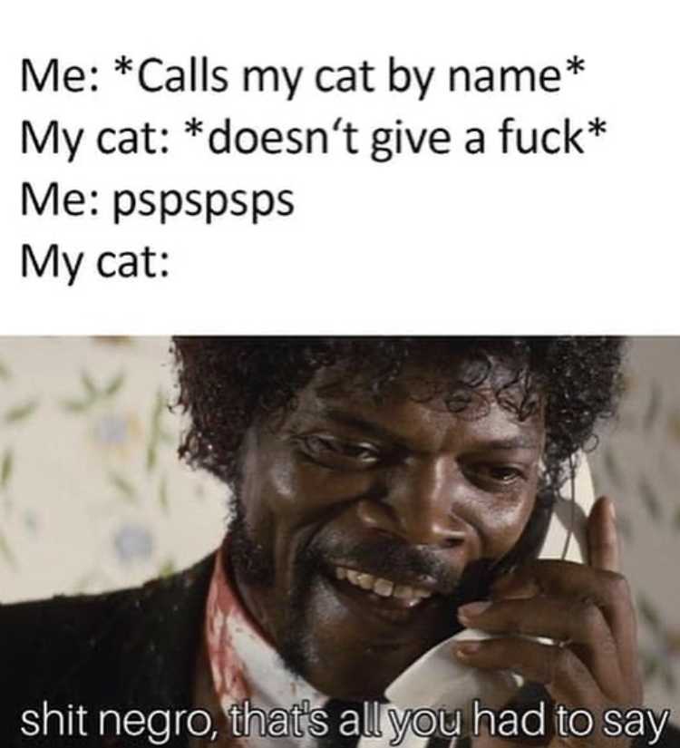 pulp fiction meme - Me Calls my cat by name My cat doesn't give a fuck Me pspspsps My cat shit negro, that's all you had to say