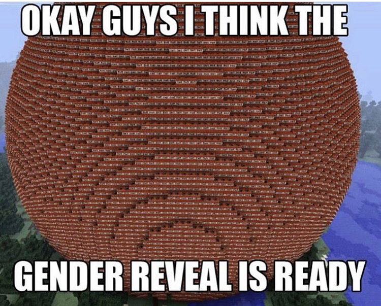 mesh - Okay Guys I Think The Gender Reveal Is Ready
