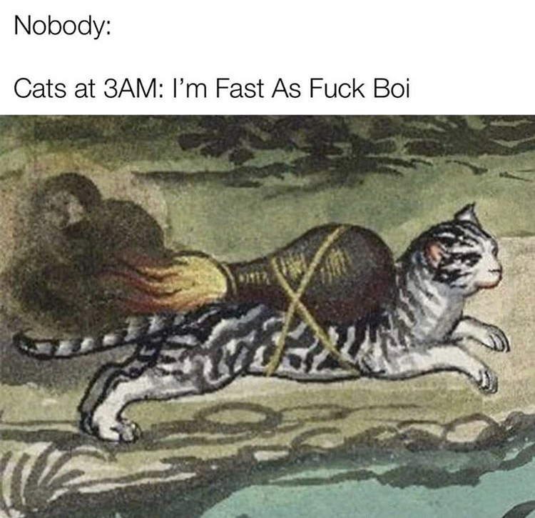 medieval art memes - Nobody Cats at 3AM I'm Fast As Fuck Boi Om?