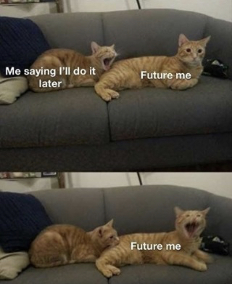 funny cat memes 2020 - Me saying I'll do it later Future me Future me