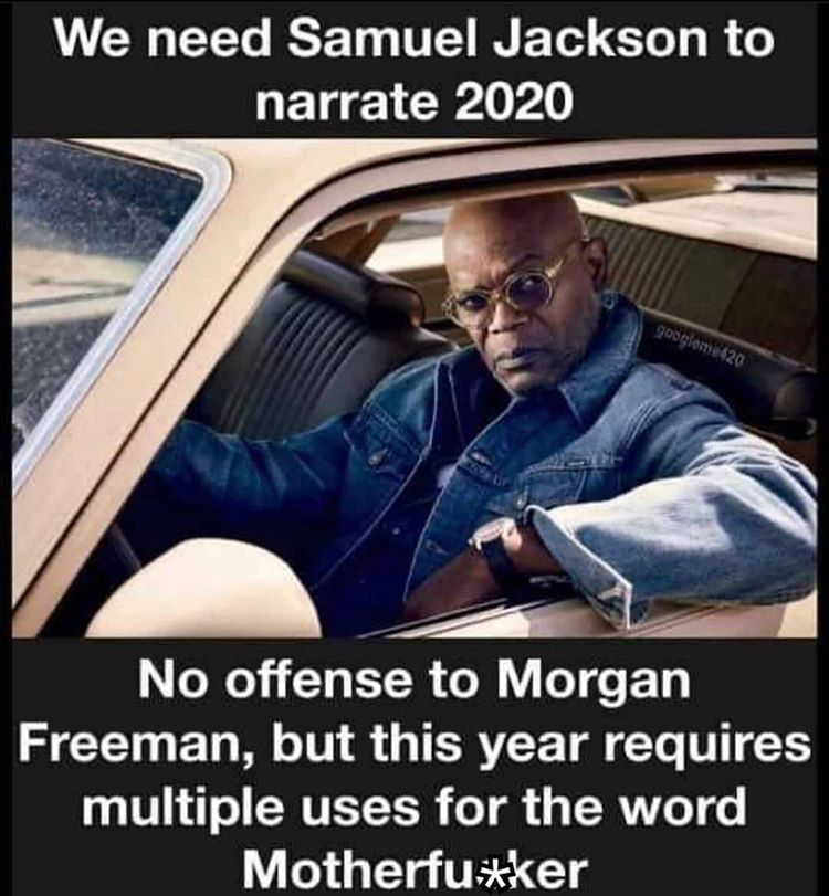 year 2020 memes - We need Samuel Jackson to narrate 2020 googlome 20 No offense to Morgan Freeman, but this year requires multiple uses for the word Motherfuker