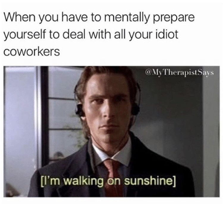 funny meme - When you have to mentally prepare yourself to deal with all your idiot coworkers Therapist Says l'm walking on sunshine