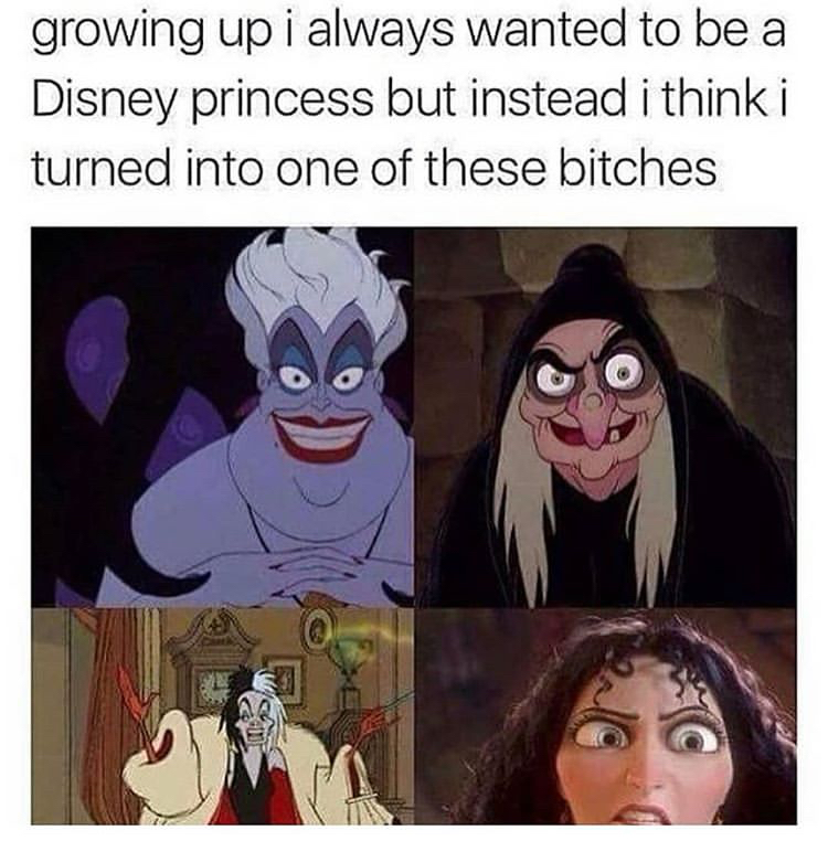 growing up i always wanted - growing up i always wanted to be a Disney princess but instead i thinki turned into one of these bitches