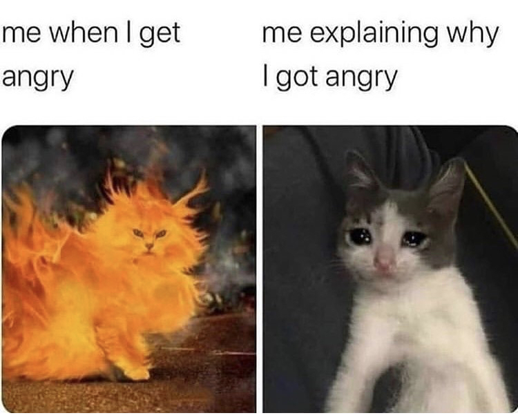 me when i get angry meme - me when I get angry me explaining why I got angry