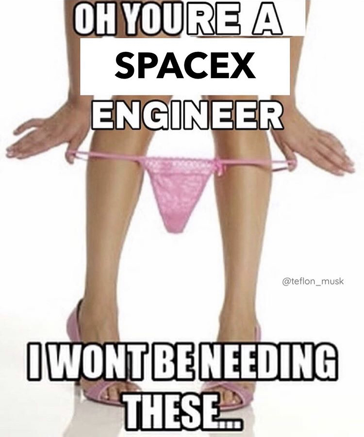 panties - Oh Youre A Spacex Engineer I Wont Beneeding These...