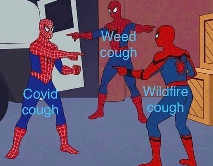 three spiderman meme - Weed cough Covia cough Wildfire cough