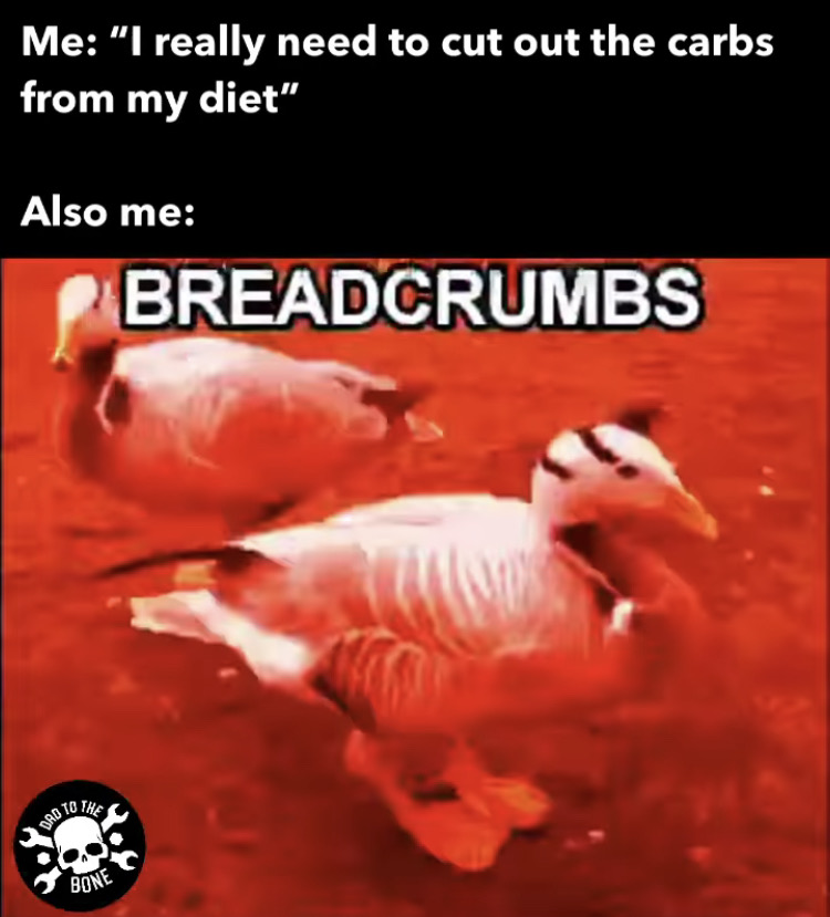 water bird - Me "I really need to cut out the carbs from my diet" Also me Breadcrumbs To The Bone