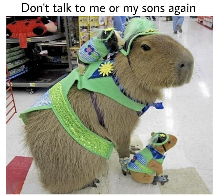 capybara vs guinea pig - Don't talk to me or my sons again