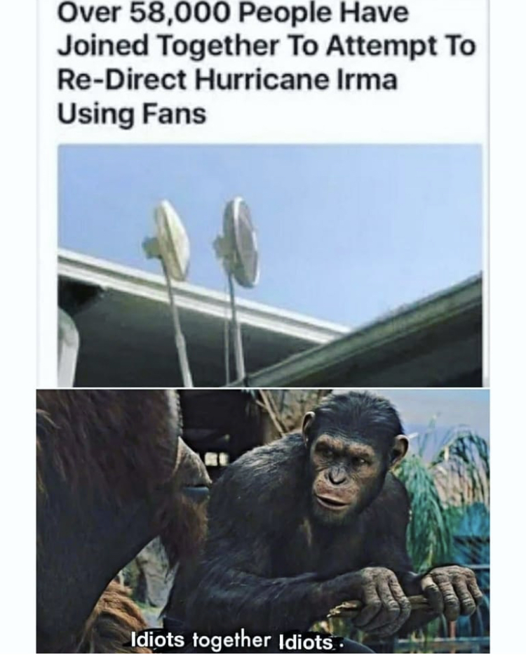fauna - Over 58,000 People Have Joined Together To Attempt To ReDirect Hurricane Irma Using Fans Idiots together Idiots.