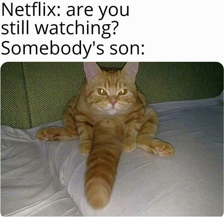 get down meme - Netflix are you still watching? Somebody's son