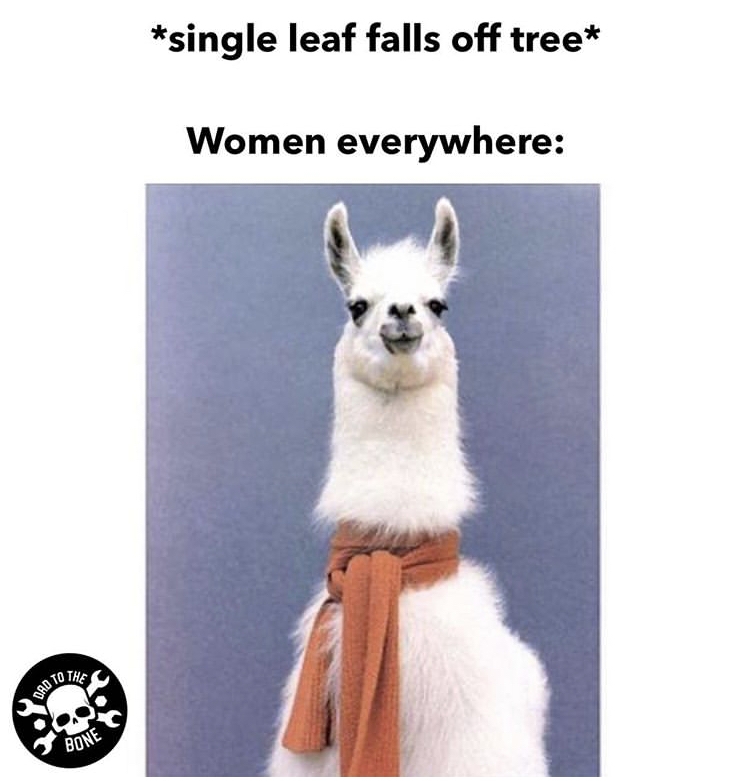 funny llama - single leaf falls off tree Women everywhere To The Dad Bone