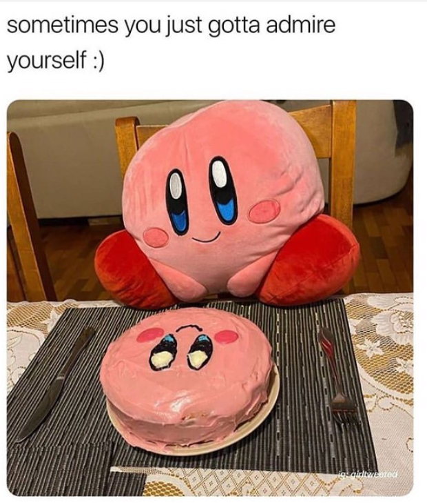 funny memes - plush - sometimes you just gotta admire yourself 09 gine