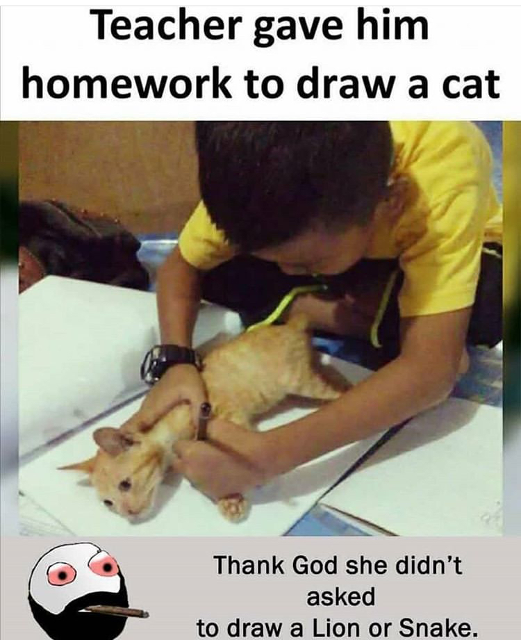funny memes - funny jokes drawing - Teacher gave him homework to draw a cat Thank God she didn't asked to draw a Lion or Snake.