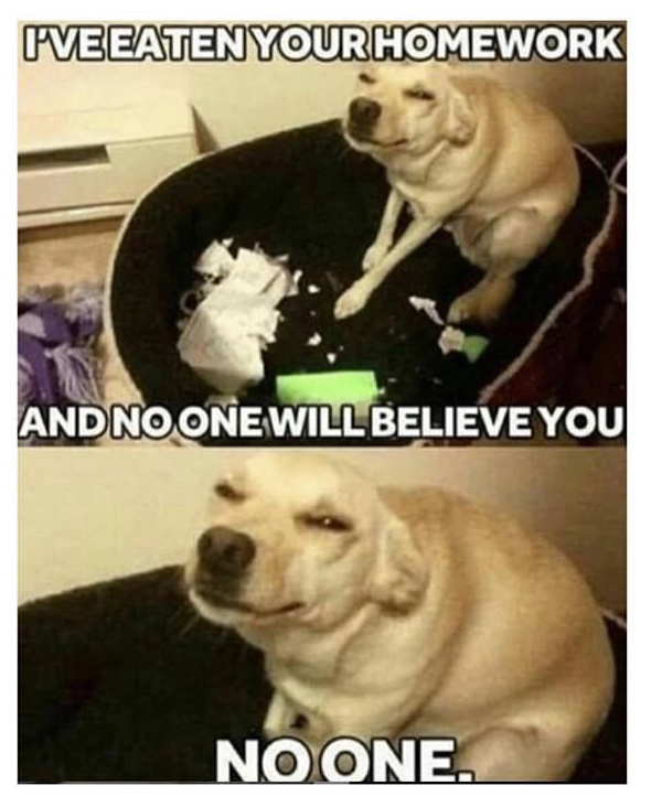 funny memes - funny laugh dog memes - Iveeaten Your Homework And No One Will Believe You No One.