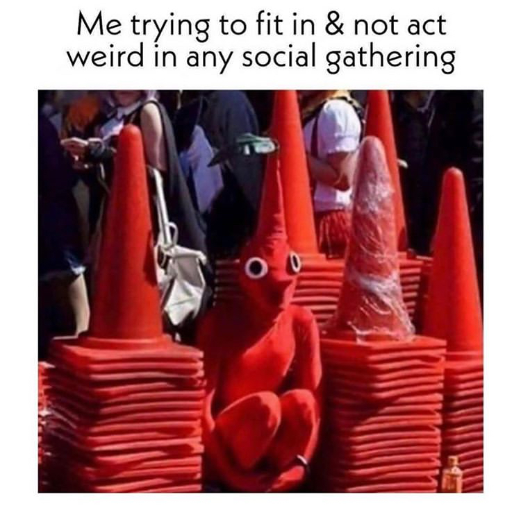 funny memes - pikmin traffic cone - Me trying to fit in & not act weird in any social gathering