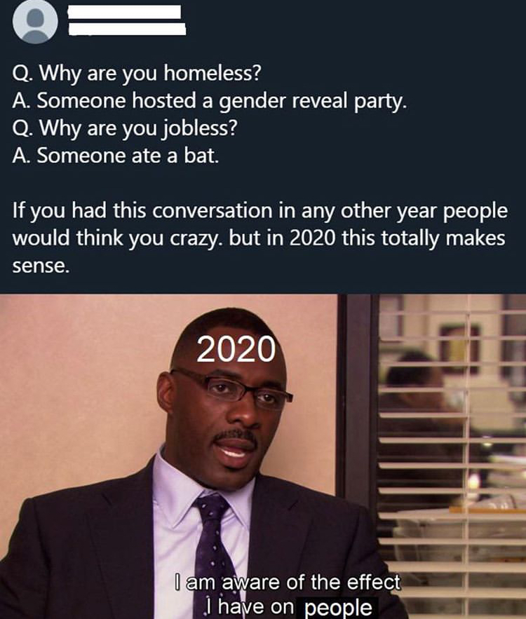funny memes - offensive memes - Q. Why are you homeless? A. Someone hosted a gender reveal party. Q. Why are you jobless? A. Someone ate a bat. If you had this conversation in any other year people would think you crazy. but in 2020 this totally makes sen