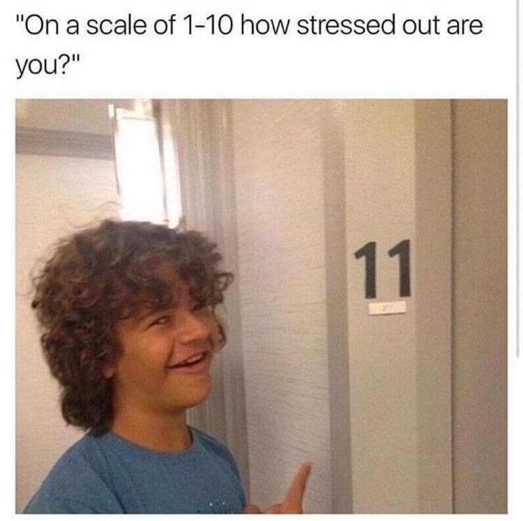 stranger things memes - "On a scale of 110 how stressed out are you?" 11