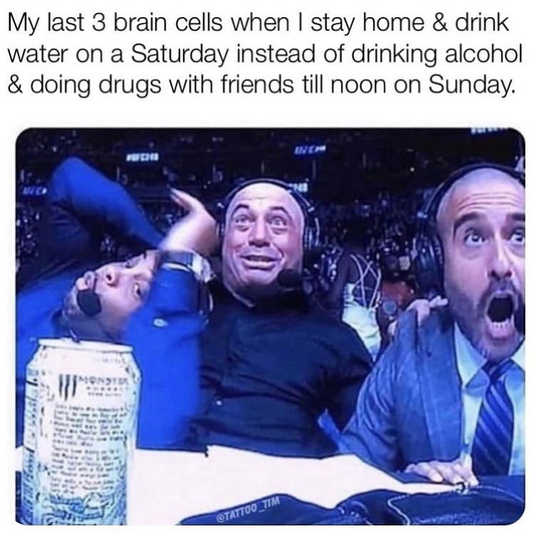 joe rogan meme reaction - My last 3 brain cells when I stay home & drink water on a Saturday instead of drinking alcohol & doing drugs with friends till noon on Sunday. TATTOO_TIM