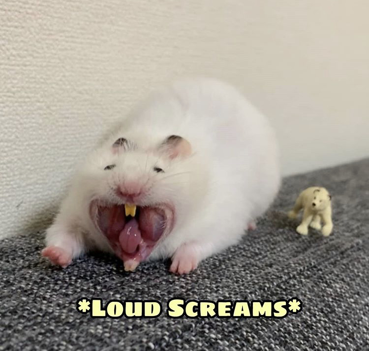 rat - Loud Screams