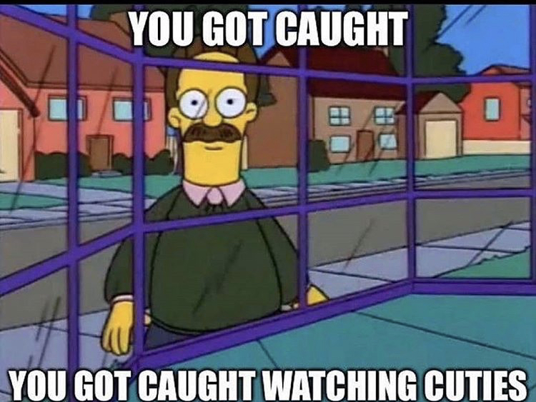 ned flanders okilly dokilly - You Got Caught 1 You Got Caught Watching Cuties