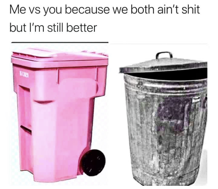 garbage can - Me vs you because we both ain't shit but I'm still better No