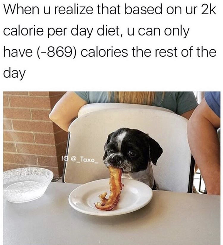 dog eating bacon - When u realize that based on ur 2k calorie per day diet, u can only have 869 calories the rest of the day Ig