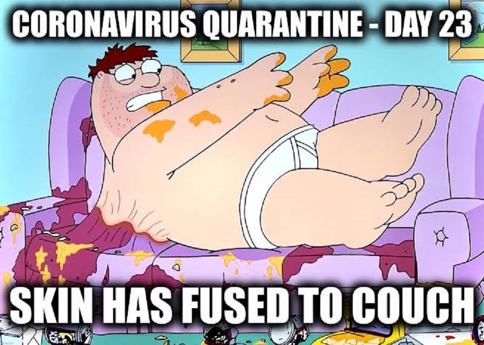 relatable quarantine memes - Coronavirus Quarantine Day 23 Skin Has Fused To Couch