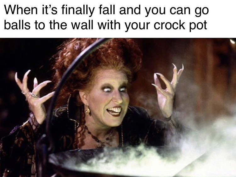 bette midler hocus pocus - When it's finally fall and you can go balls to the wall with your crock pot