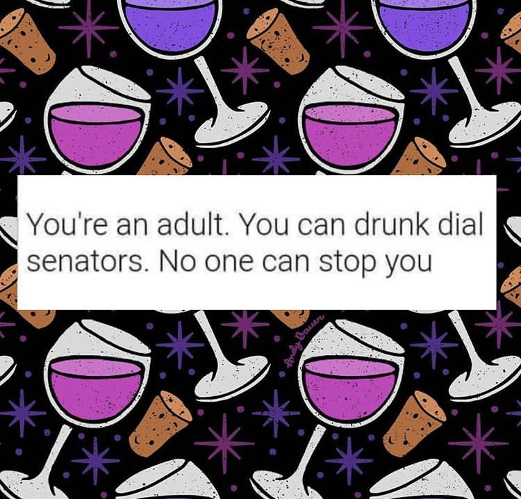 pattern - You're an adult. You can drunk dial senators. No one can stop you