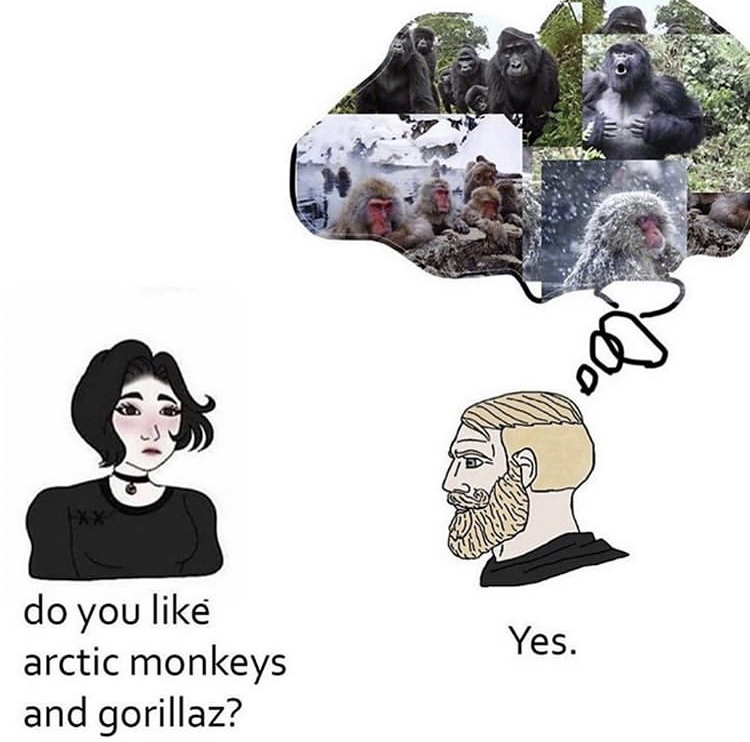 arctic monkeys gorillaz meme - Noo Yes. do you arctic monkeys and gorillaz?
