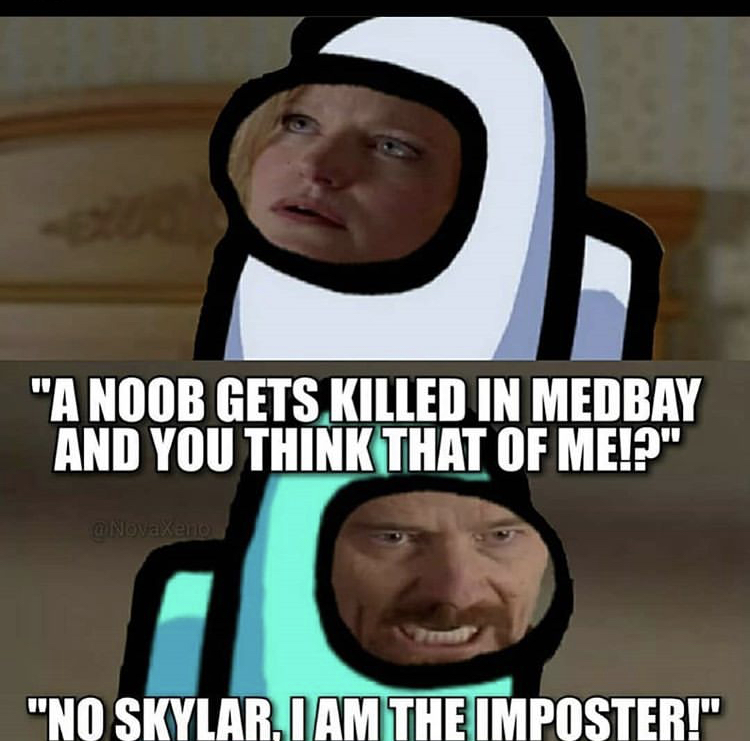 but they think it's dubstep - "A Noob Gets Killed In Medbay And You Think That Of Me!?" a Novaxeno "No Skylar.I Am The Imposter!"