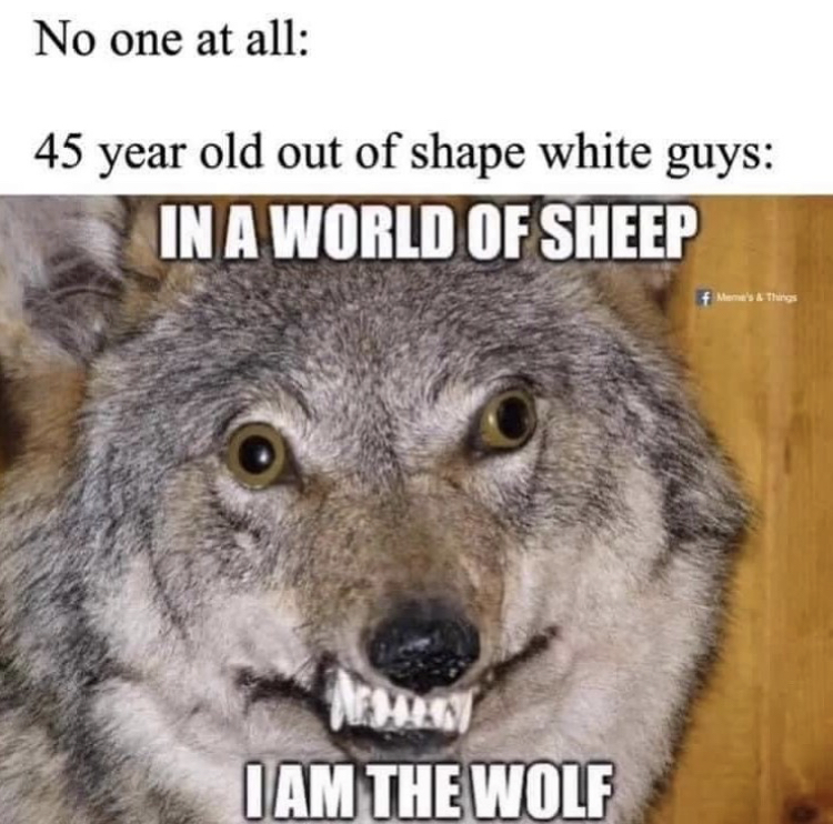 funny memes - taxidermy wolf fail - No one at all 45 year old out of shape white guys In A World Of Sheep I Am The Wolf