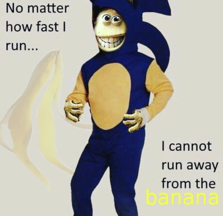 funny memes - edgy the hedgy meme - No matter how fast run... I cannot run away from the banana