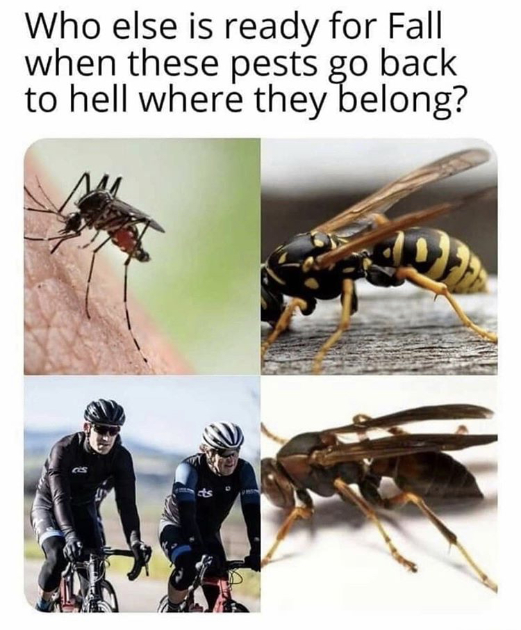 funny memes - cyclist mosquito meme - Who else is ready for Fall when these pests go back to hell where they belong?