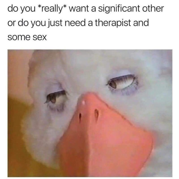 memes for when your sad - do you really want a significant other or do you just need a therapist and some sex