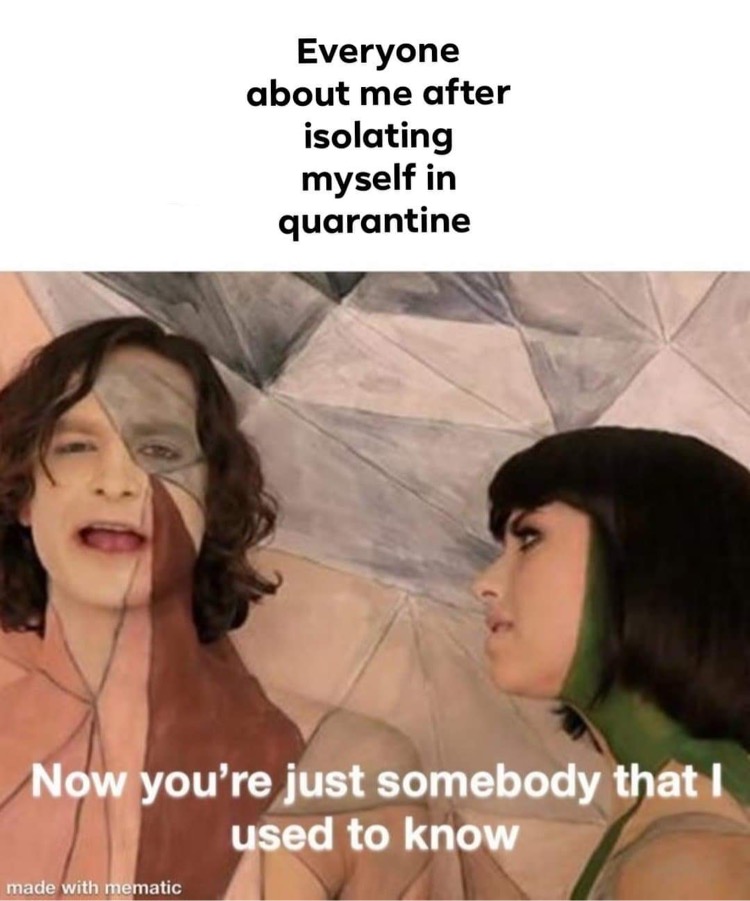 pop music memes - Everyone about me after isolating myself in quarantine Now you're just somebody that I used to know made with mematic