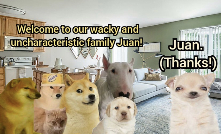 dog - Welcome to our wacky and uncharacteristic family Juan! Juan. Thanks! caring