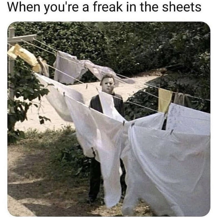 random memes - you a freak in the sheets - When you're a freak in the sheets