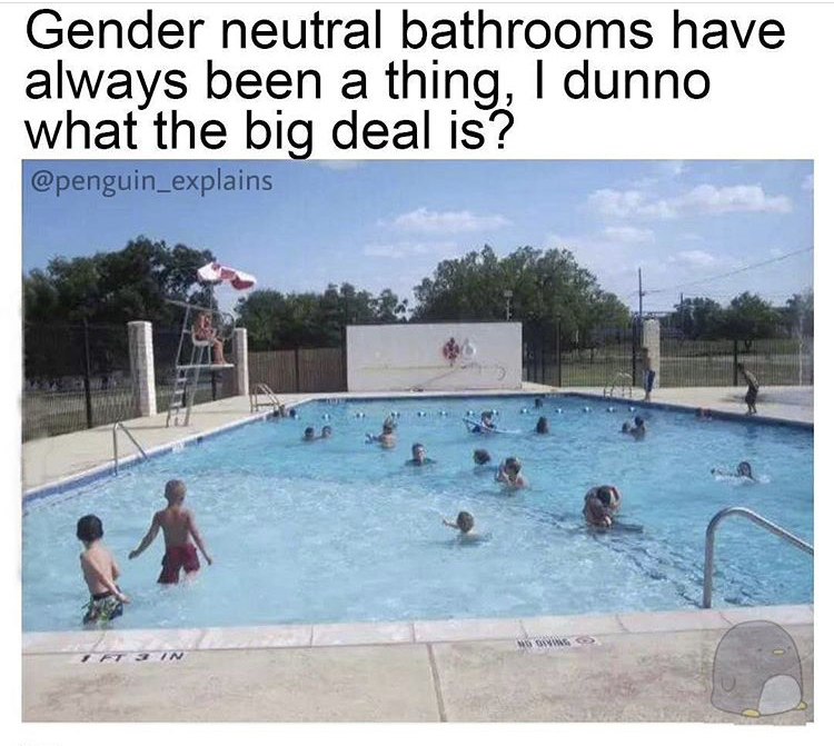 random memes - swimming pool bathroom meme - Gender neutral bathrooms have always been a thing, I dunno what the big deal is?