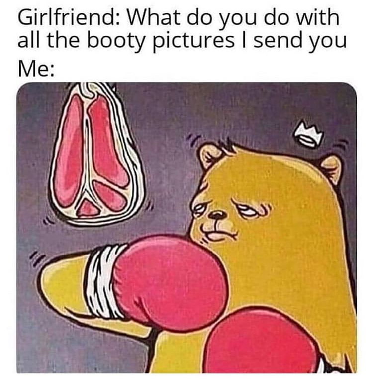 random memes - Shitposting - Girlfriend What do you do with all the booty pictures I send you Me