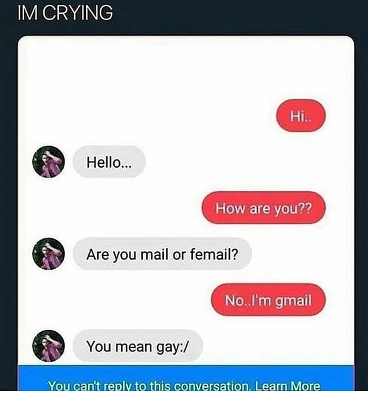random memes - mail femail gmail memes - Im Crying Hi.. Hello... How are you? Are you mail or femail? No. I'm gmail You mean gay You can't to this conversation. Learn More