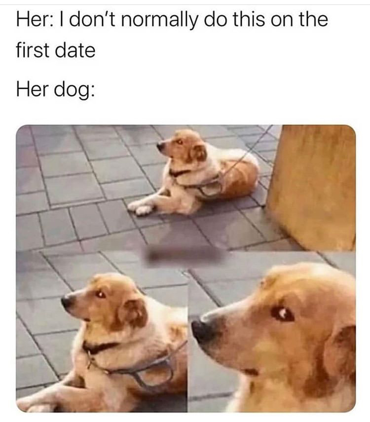 funny memes - don t normally do - Her I don't normally do this on the first date Her dog